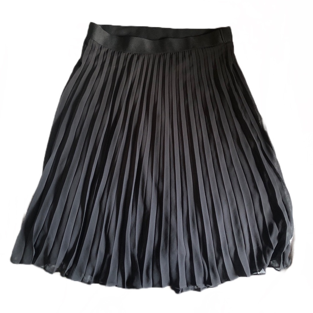 Time and Tru Black Pleated Skirt 2XL